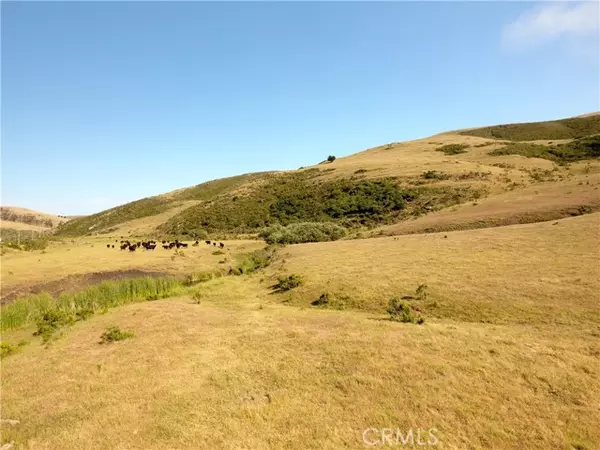 Cayucos, CA 93430,0 Ca-1