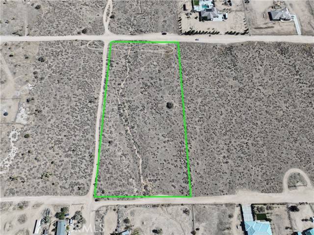 Phelan, CA 92371,0 Daisy