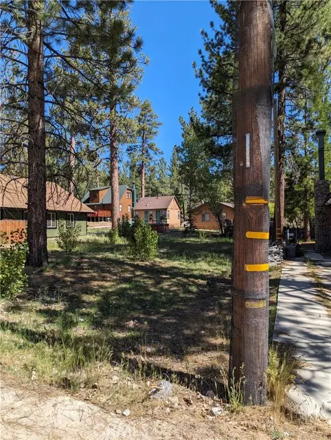 Big Bear Lake, CA 92315,39424 Ruby LN