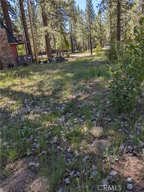 Big Bear Lake, CA 92315,39424 Ruby LN