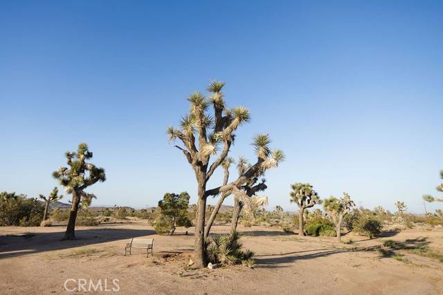 Yucca Valley, CA 92284,58382 Sunny Sands DR