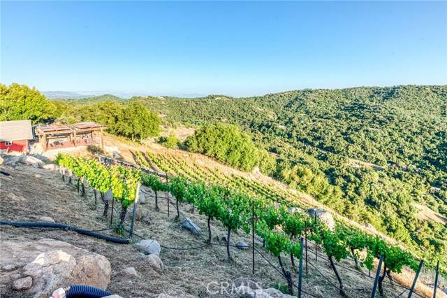 Squaw Valley, CA 93675,50806 Bramble LN