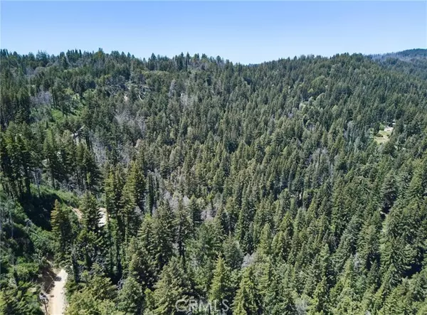 Boulder Creek, CA 95006,0 Lodge RD