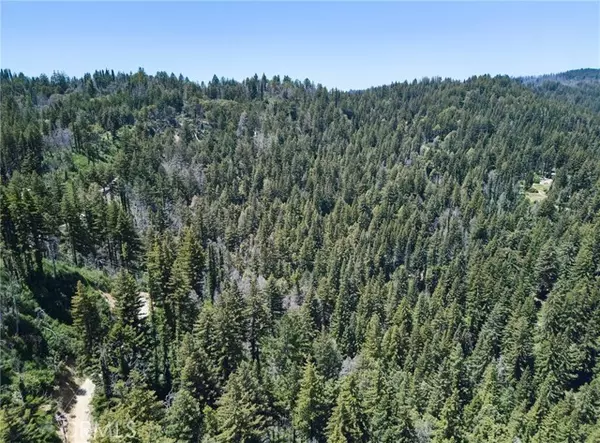 Boulder Creek, CA 95006,0 Lodge RD