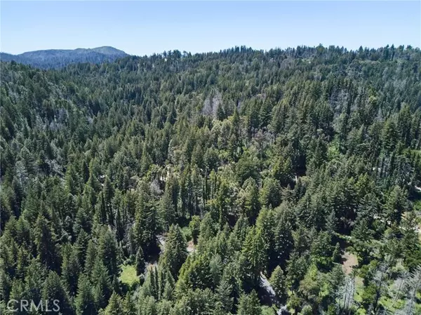 Boulder Creek, CA 95006,0 Lodge RD