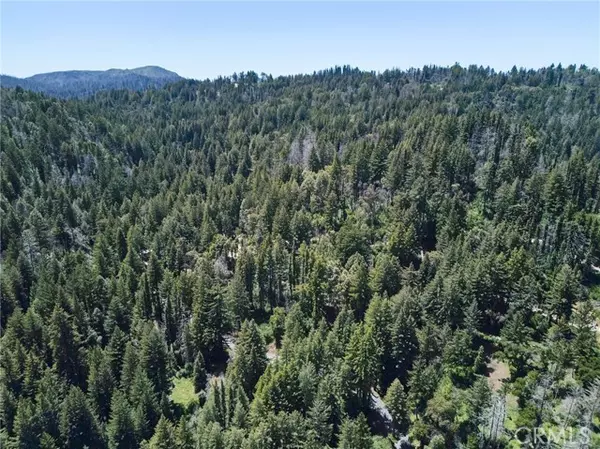 Boulder Creek, CA 95006,0 Lodge RD