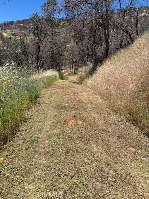 Mariposa, CA 95338,5358 Mariposa Heights RD