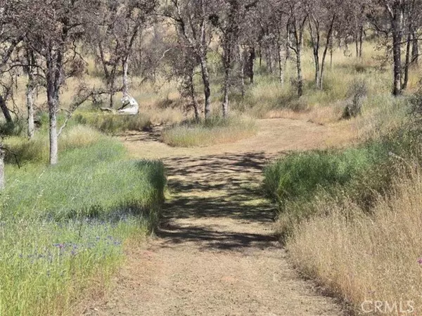 Mariposa, CA 95338,5358 Mariposa Heights RD