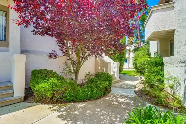 8470 Via Sonoma 31, La Jolla, CA 92037