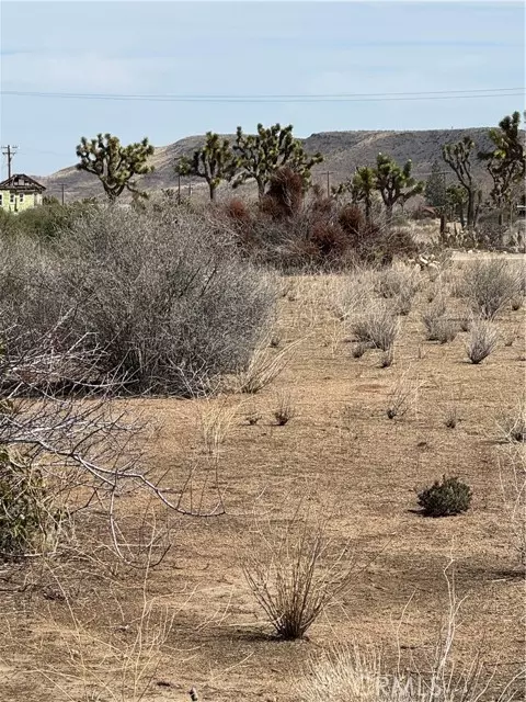 Pioneertown, CA 92268,0 Minna Gombell LN