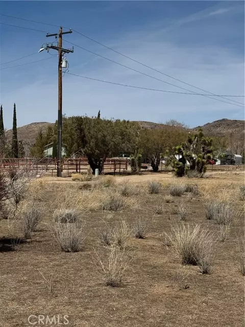 Pioneertown, CA 92268,0 Minna Gombell LN