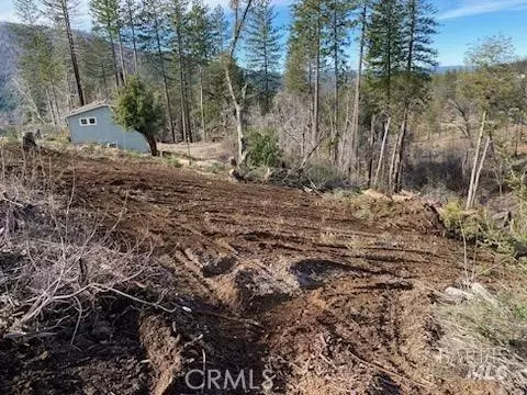 Cobb, CA 95426,11424 Pine Summit CT