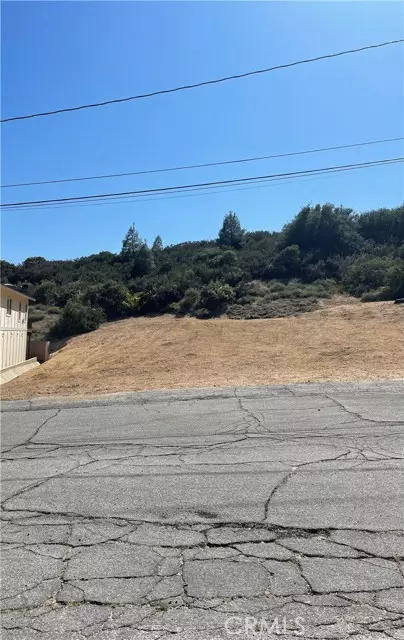 Lake Hughes, CA 93532,0 Noblett Drive  VIC Elderberr