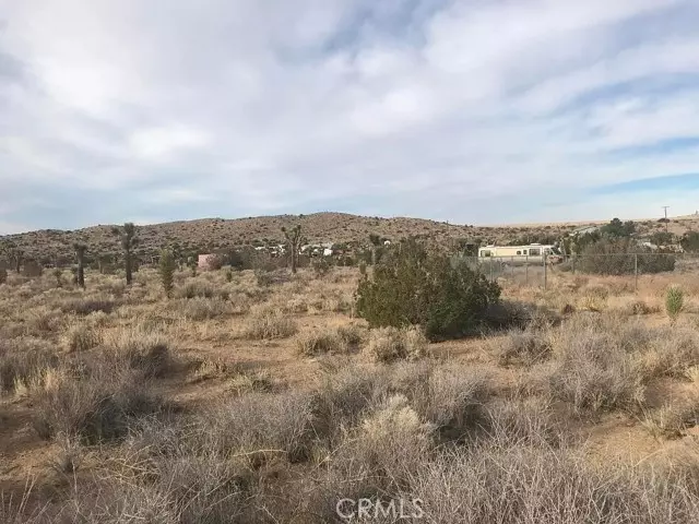 Pearblossom, CA 93553,0 Fort Tejon RD