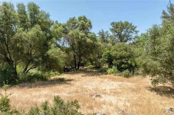 Mariposa, CA 95338,0 Dawn RD