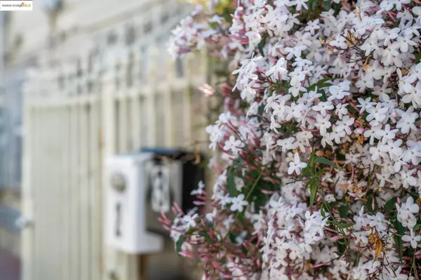 Oakland, CA 94606,1820 International Blvd