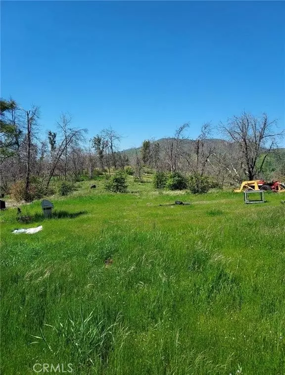 Mariposa, CA 95338,3109 Wild Dove LN