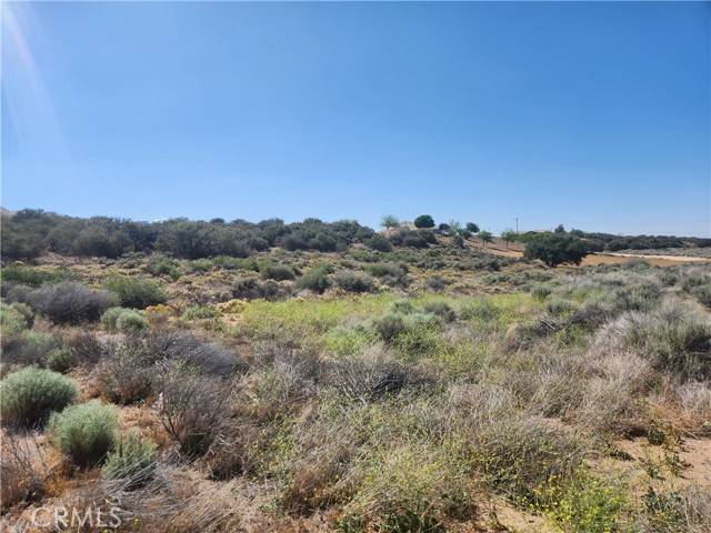 11250 Duxbury RD, Oak Hills, CA 92344