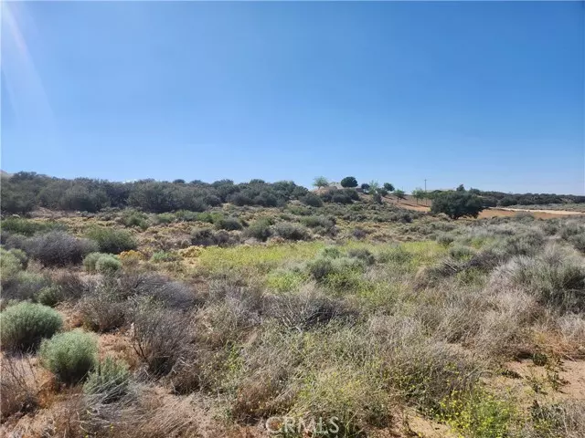 11250 Duxbury RD, Oak Hills, CA 92344