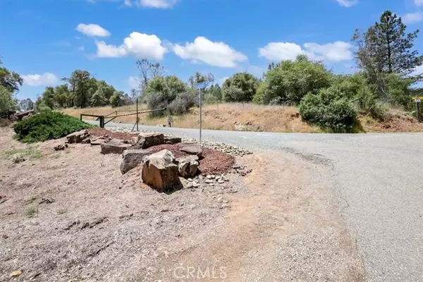 Brownsville, CA 95919,14818 Willow Glen RD