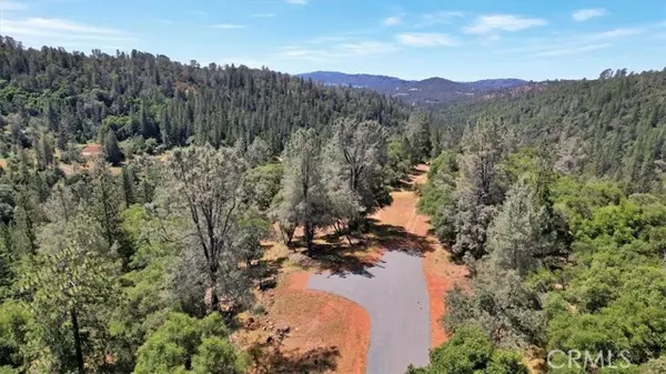 Brownsville, CA 95919,14818 Willow Glen RD