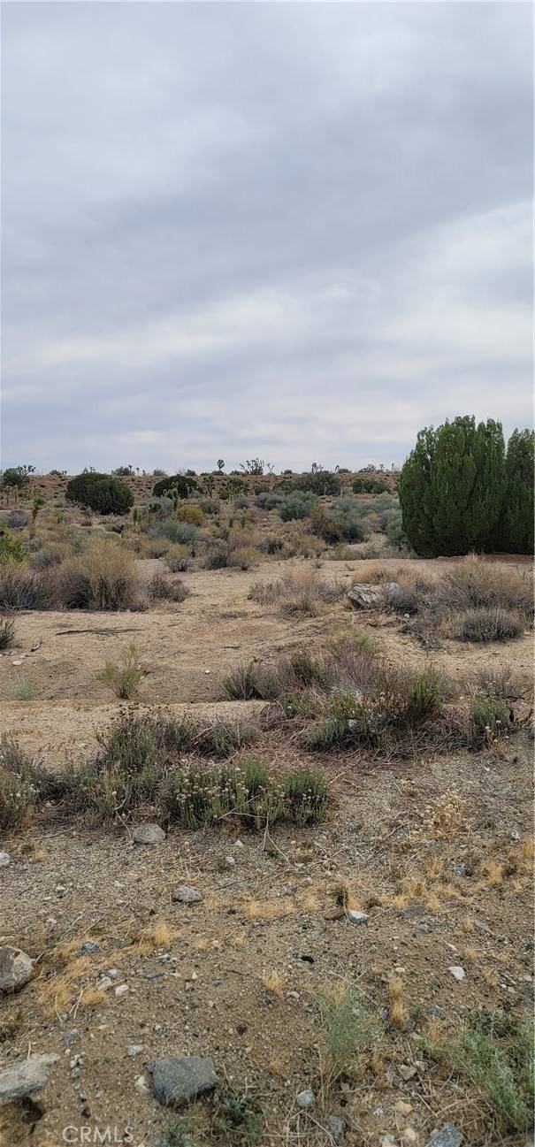 Llano, CA 93544,0 Avenue Y