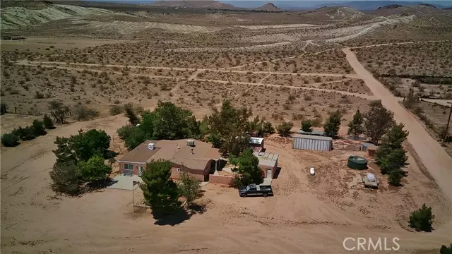 Rosamond, CA 93560,3840 Lupine