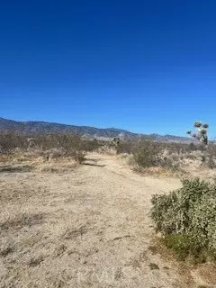 Pinon Hills, CA 92372,0 Pine Tree RD