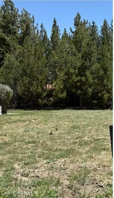 Big Bear Lake, CA 92315,0 Pinto CT