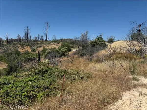 Berry Creek, CA 95916,0 Sierra VW