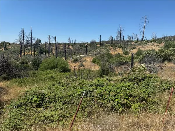 Berry Creek, CA 95916,0 Sierra VW