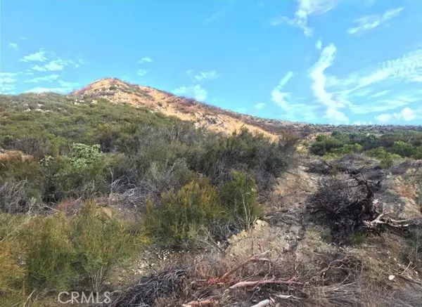 Anza, CA 92539,0 Gully View DR