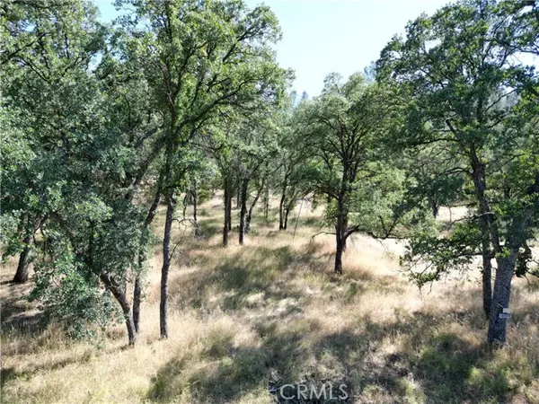 Corning, CA 96021,16625 Rancho Tehama RD