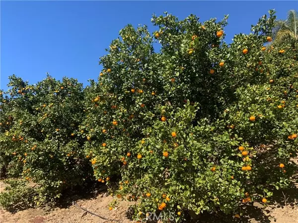 Temecula, CA 92590,45860 Calle Cuero