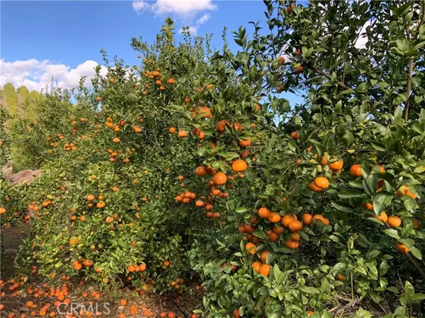 Temecula, CA 92590,45860 Calle Cuero