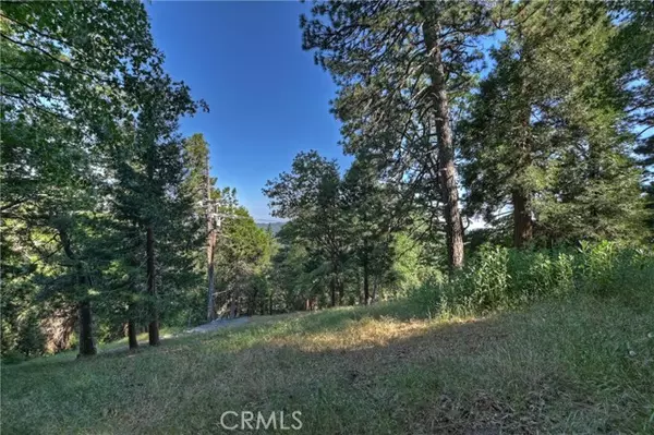Cedarpines Park, CA 92322,21764 Peak CIR
