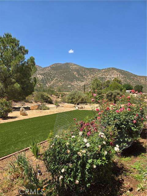 Acton, CA 93510,30240 Aliso Canyon RD