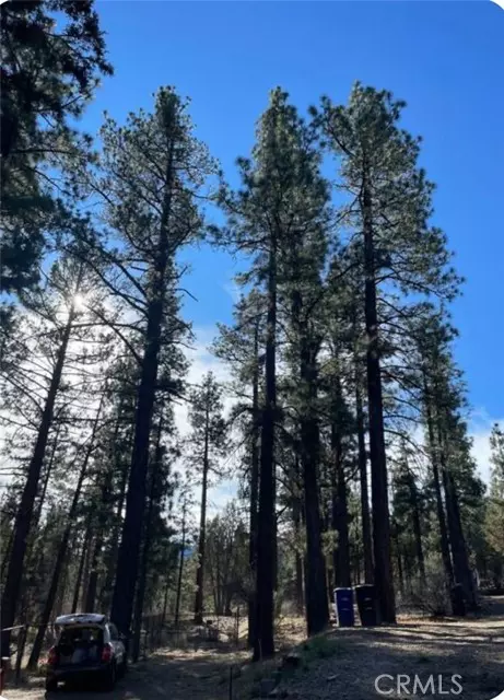 Big Bear City, CA 92314,605 Kean WAY