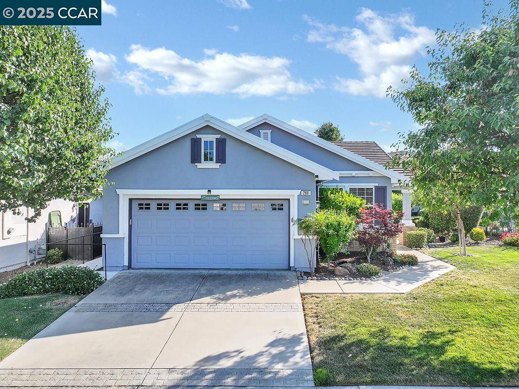 298 Baldwin Dr, Brentwood, CA 94513