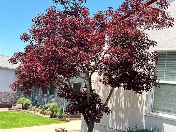 Los Angeles, CA 90047,1923 W 115th ST