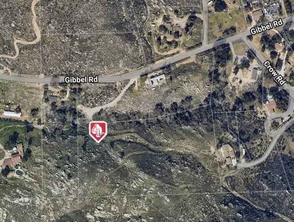 Hemet, CA 92543,1 Polly