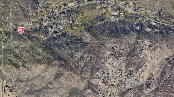 Hemet, CA 92543,1 Polly