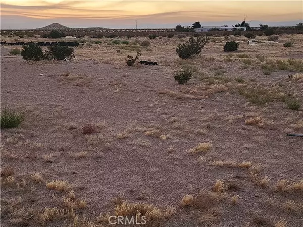 Newberry Springs, CA 92365,36955 Troy RD