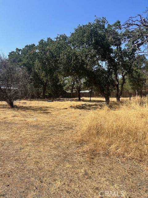 Oroville, CA 95965,0 Fernwood AVE
