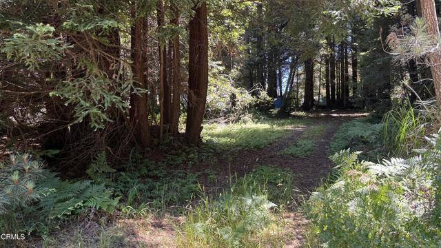 31950 Norma LN, Fort Bragg, CA 95437