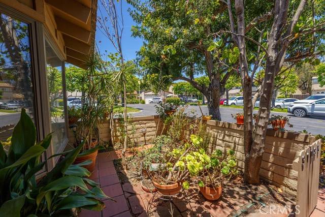 San Juan Capistrano, CA 92675,31085 Via San Vicente