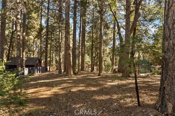 Running Springs, CA 92382,0 Valley View DR