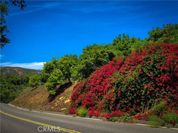 Temecula, CA 92590,5 Via Vaquero