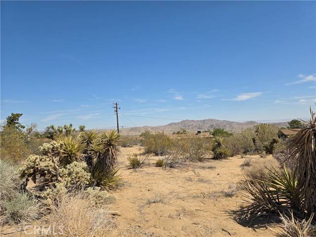 Joshua Tree, CA 92252,0 La Mirada TRL