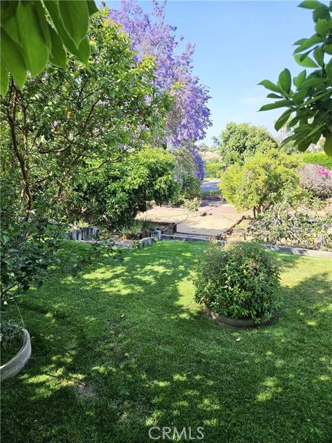 Riverside, CA 92503,10771 Orchard View LN